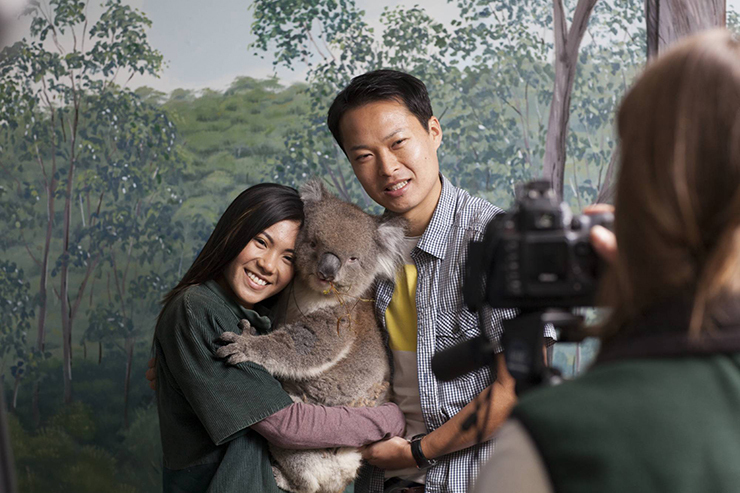 Koala hold at Clealand Wildlife Park