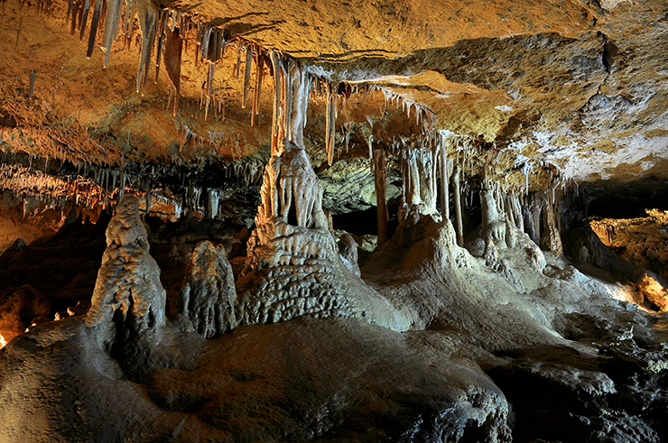 Naracoorte Caves