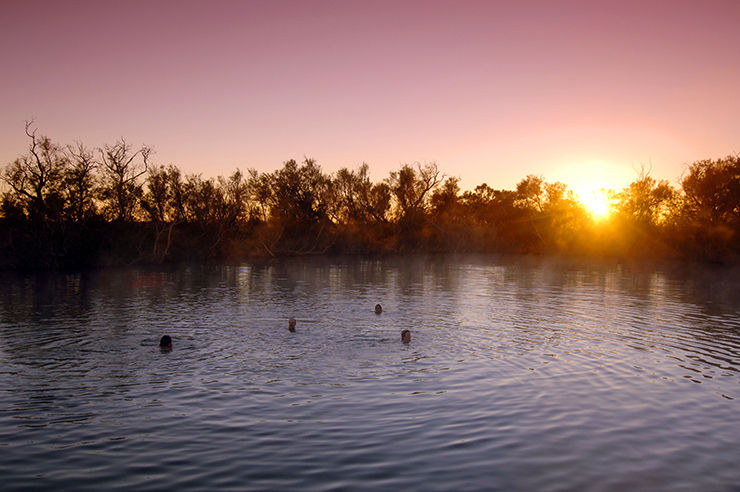 Swimming in Dalhousie Spring