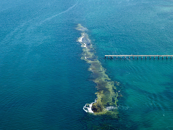Port Noarlunga Reef
