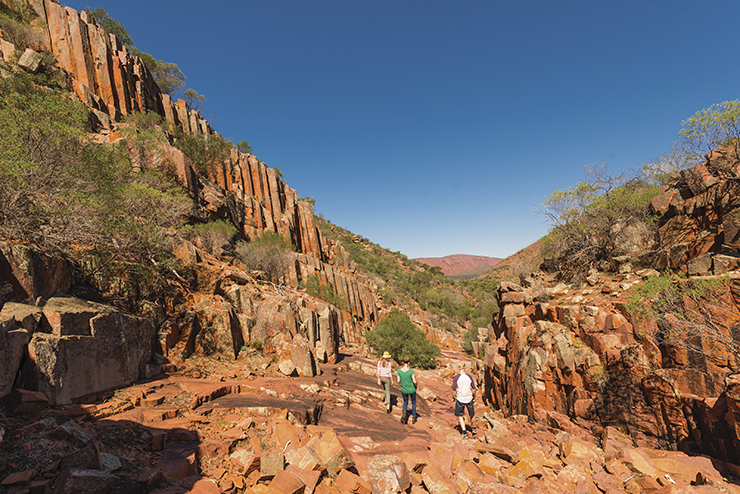 Walking through Gawler Ranges National Park