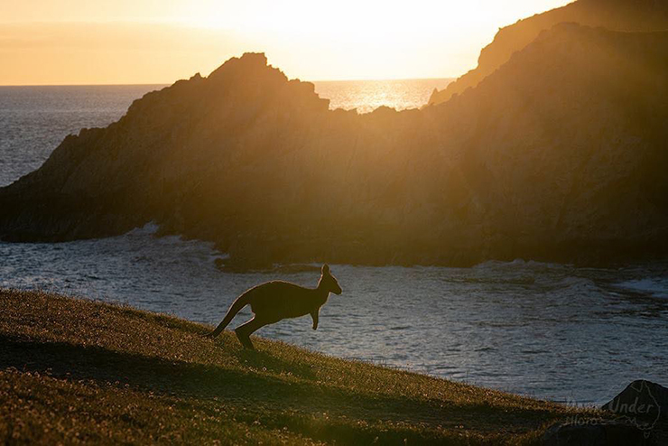 Sunset at Blowhole Beach
