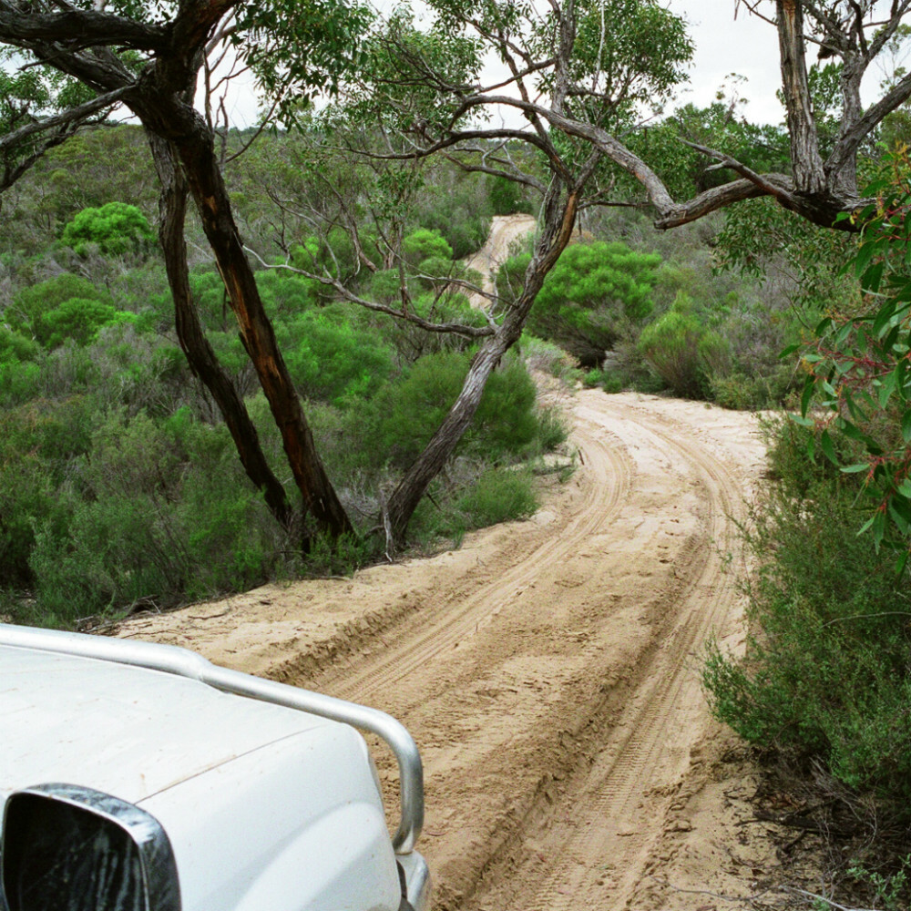 ngarkat border track